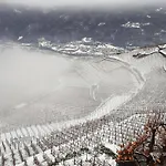 Casa Il Glicine Valtellina * Tresivio