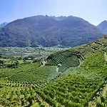 Casa Il Glicine Valtellina Tresivio