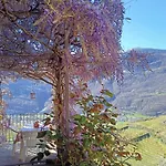 Casa Il Glicine Valtellina 아파트 Tresivio