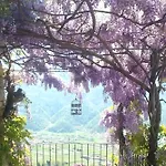 Casa Il Glicine Valtellina 아파트