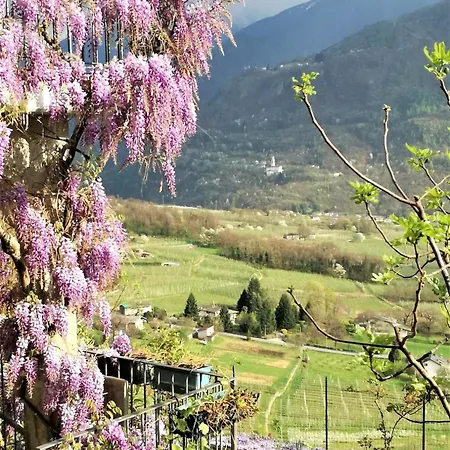 Casa Il Glicine Valtellina Apartamento