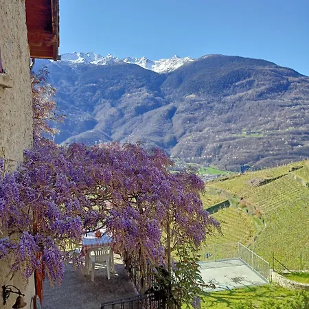 Casa Il Glicine Valtellina Apartamento *