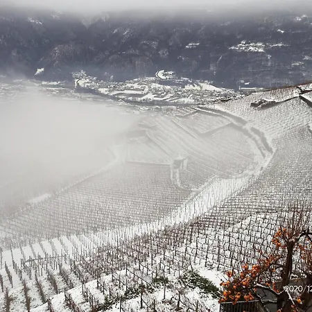 Casa Il Glicine Valtellina * Tresivio