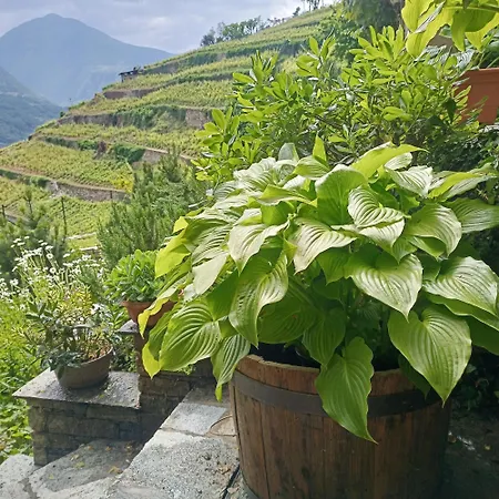아파트 Casa Il Glicine Valtellina *