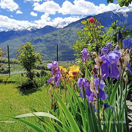 Casa Il Glicine Valtellina