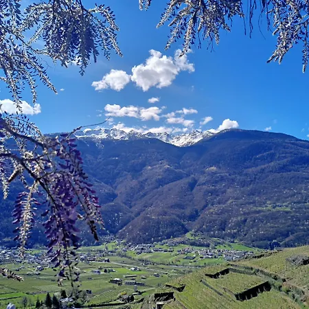Casa Il Glicine Valtellina *