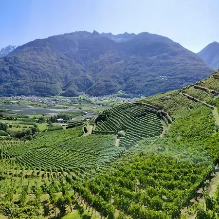 Casa Il Glicine Valtellina Tresivio