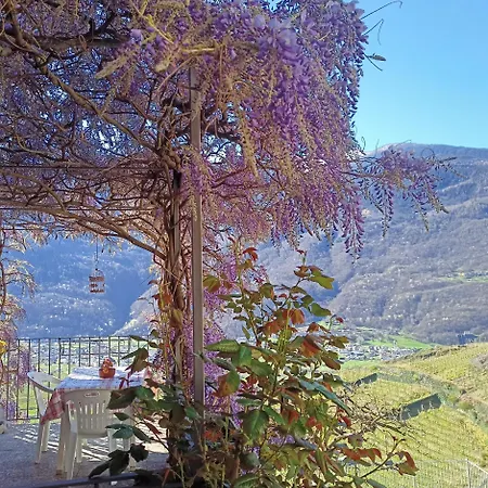 Casa Il Glicine Valtellina Apartamento Tresivio