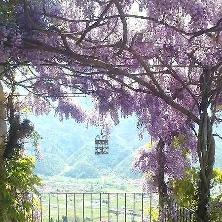 Casa Il Glicine Valtellina Apartamento